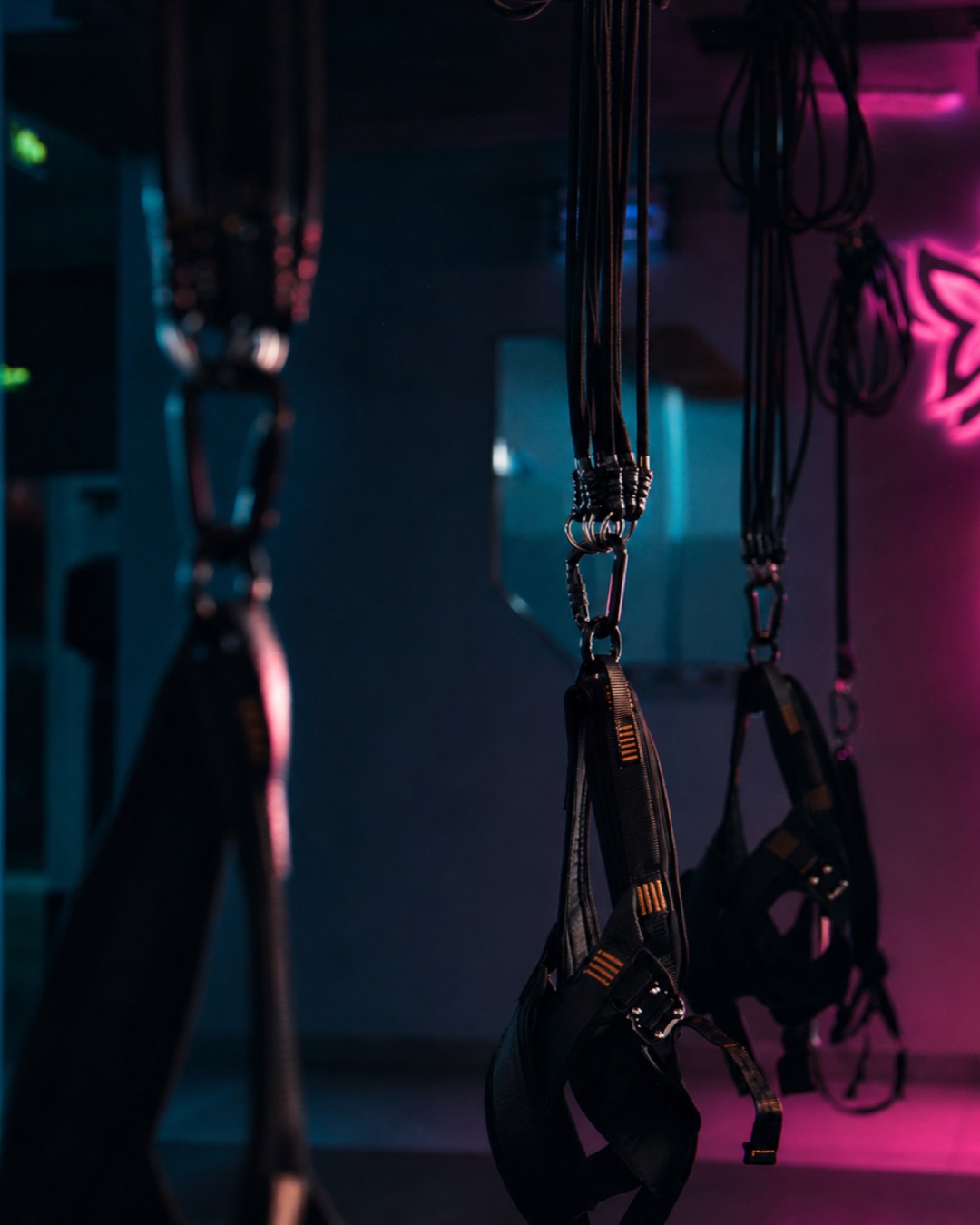 Bungee Studio Setup